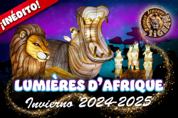¡Inédito: &#8220;Lumières d&#8217;Afrique&#8221;!