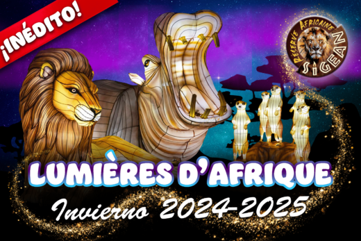 &#x00A1;In&#x00E9;dito&#x3A;&#x20;&amp;&#x23;8220&#x3B;Lumi&#x00E8;res&#x20;d&amp;&#x23;8217&#x3B;Afrique&amp;&#x23;8221&#x3B;&#x21;