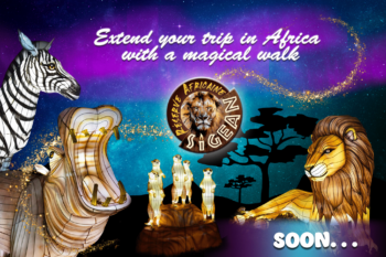 Extend your trip in Africa with a magical walk!