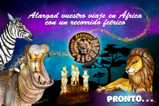 &#x00A1;Alargad&#x20;vuestro&#x20;viaje&#x20;en&#x20;&#x00C1;frica&#x20;con&#x20;un&#x20;recorrido&#x20;fe&#x00E9;rico&#x21;
