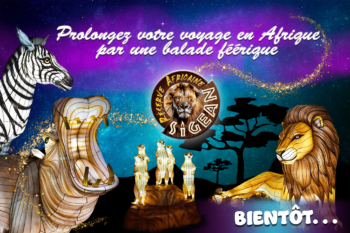 Prolongez votre voyage en Afrique par une balade féérique !