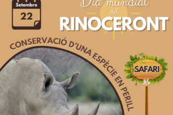 D-6: Dia Mundial del Rinoceront 2024!