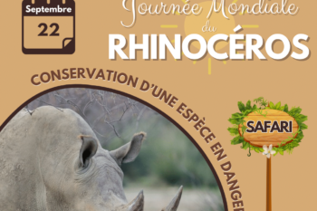 J-6 : Journée Mondiale du Rhinocéros 2024 ! 