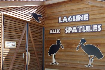 La Lagune aux Spatules, un nouvel espace dédié aux oiseaux