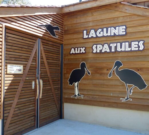 La&#x20;Lagune&#x20;aux&#x20;Spatules,&#x20;un&#x20;nouvel&#x20;espace&#x20;d&#x00E9;di&#x00E9;&#x20;aux&#x20;oiseaux