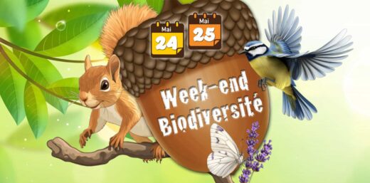 Week-end&#x20;de&#x20;la&#x20;Biodiversit&#x00E9;&#x20;&#x00E0;&#x20;la&#x20;R&#x00E9;serve&#x20;Africaine&#x20;de&#x20;Sigean&#x20;le&#x20;samedi&#x20;24&#x20;et&#x20;le&#x20;dimanche&#x20;25&#x20;mai