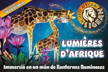 LUMIÈRES D&#8217;AFRIQUE : segona edició