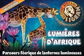 FESTIVAL LUMIÈRES D&#8217;AFRIQUE : 2ème édition