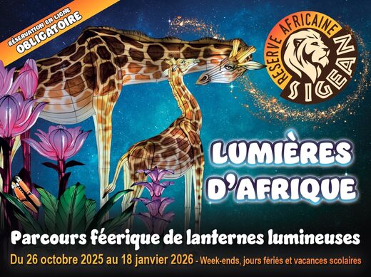FESTIVAL&#x20;LUMI&#x00C8;RES&#x20;D&amp;&#x23;8217&#x3B;AFRIQUE&#x00A0;&#x3A;&#x20;2&#x00E8;me&#x20;&#x00E9;dition