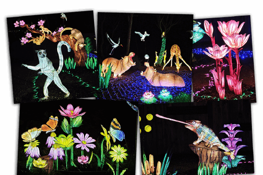 D-3: Event! The Lumières d’Afrique Festival opens its doors!