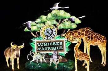 Recta final del Festival Lumières d&#8217;Afrique!