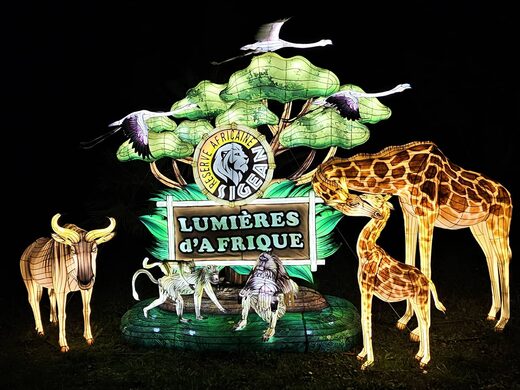 Clap&#x20;de&#x20;fin&#x20;imminent&#x20;pour&#x20;le&#x20;Festival&#x20;Lumi&#x00E8;res&#x20;d&#x2019;Afrique&#x20;&#x21;