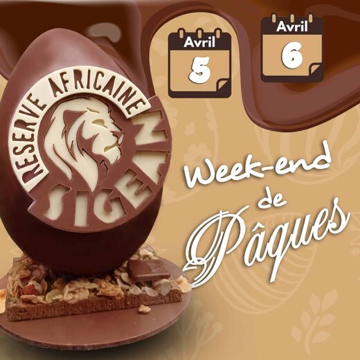 Ous&#x20;de&#x20;Pasqua&#x20;a&#x20;la&#x20;R&#x00E9;serve&#x20;Africaine&#x20;de&#x20;Sigean&#x3A;&#x20;joc&#x20;de&#x20;pistes&#x20;i&#x20;llaminadures&#x21;
