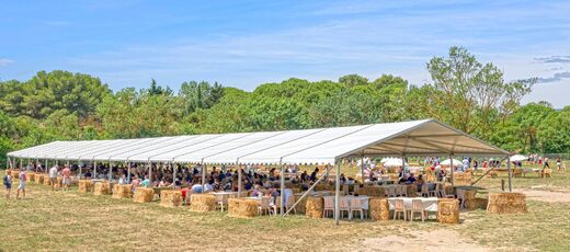 &#x00C9;v&#x00E9;nementiel&#x20;d&amp;&#x23;8217&#x3B;ENTREPRISE&#x20;&#x3A;&#x20;La&#x20;R&#x00E9;serve&#x20;Africaine&#x20;de&#x20;Sigean&#x20;accueille&#x20;1&#x20;100&#x20;salari&#x00E9;s&#x20;du&#x20;Cr&#x00E9;dit&#x20;Agricole&#x20;pour&#x20;une&#x20;journ&#x00E9;e&#x20;exclusive&#x20;&#x21;