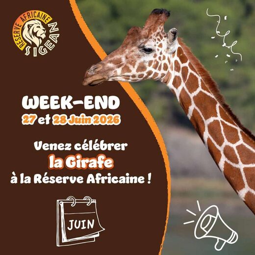 Journ&#x00E9;e&#x20;Mondiale&#x20;de&#x20;la&#x20;Girafe&#x20;&#x3A;&#x20;c&#x00E9;l&#x00E9;brez&#x20;la&#x20;g&#x00E9;ante&#x20;d&amp;&#x23;8217&#x3B;Afrique&#x20;&#x00E0;&#x20;la&#x20;R&#x00E9;serve&#x20;Africaine&#x20;de&#x20;Sigean&#x20;&#x21;