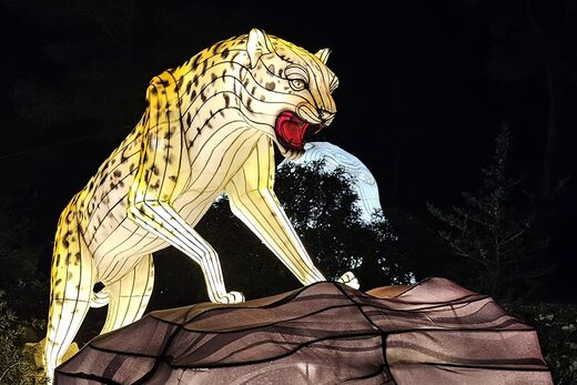 La magie des Lumières d’Afrique s’apprête à réilluminer la Réserve de Sigean !