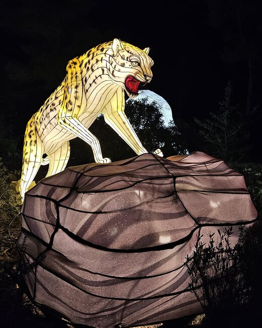 La&#x20;magie&#x20;des&#x20;Lumi&#x00E8;res&#x20;d&#x2019;Afrique&#x20;s&amp;&#x23;8217&#x3B;appr&#x00EA;te&#x20;&#x00E0;&#x20;r&#x00E9;illuminer&#x20;la&#x20;R&#x00E9;serve&#x20;de&#x20;Sigean&#x20;&#x21;