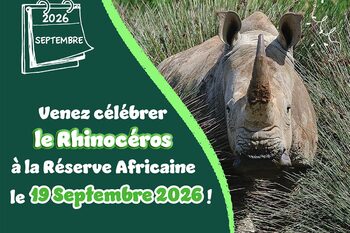 Journée spéciale pour le Rhinocéros à la Réserve Africaine de Sigean