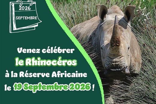 Journée spéciale pour le Rhinocéros à la Réserve Africaine de Sigean