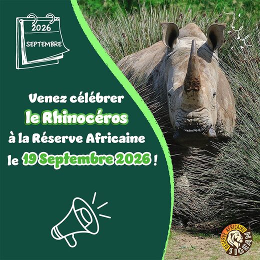 Journ&#x00E9;e&#x20;sp&#x00E9;ciale&#x20;pour&#x20;le&#x20;Rhinoc&#x00E9;ros&#x20;&#x00E0;&#x20;la&#x20;R&#x00E9;serve&#x20;Africaine&#x20;de&#x20;Sigean
