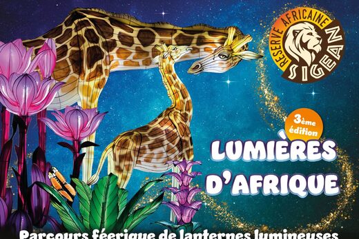 Lumières d’Afrique – 3ème édition : QUELLE PREMIÈRE INCROYABLE !