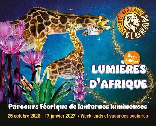 Lumi&#x00E8;res&#x20;d&#x2019;Afrique&#x20;&amp;&#x23;8211&#x3B;&#x20;3&#x00E8;me&#x20;&#x00E9;dition&#x20;&#x3A;&#x20;QUELLE&#x20;PREMI&#x00C8;RE&#x20;INCROYABLE&#x20;&#x21;